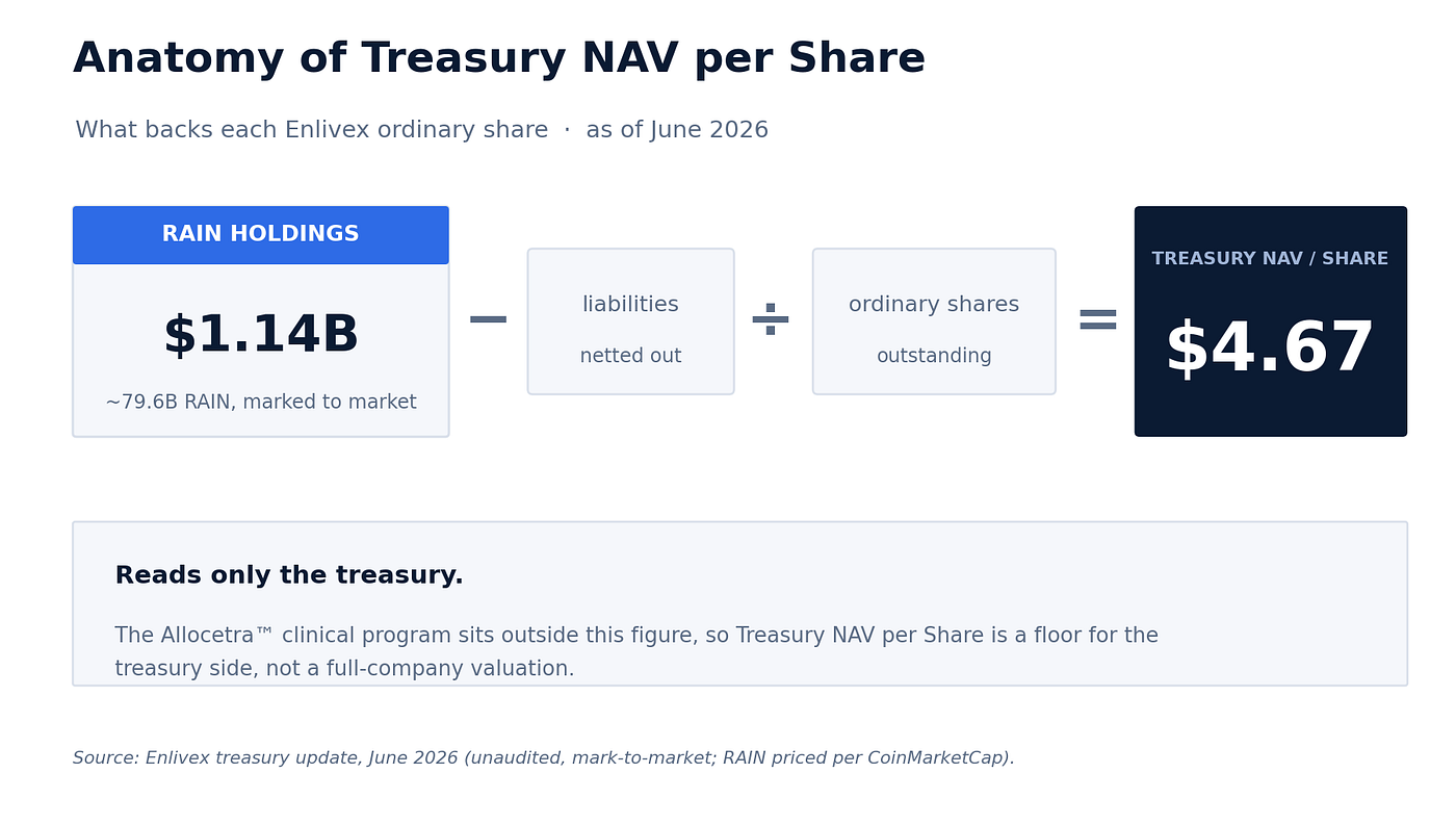 Anatomy of Treasury NAV per Share: RAIN holdings, minus liabilities, divided by shares outstanding.