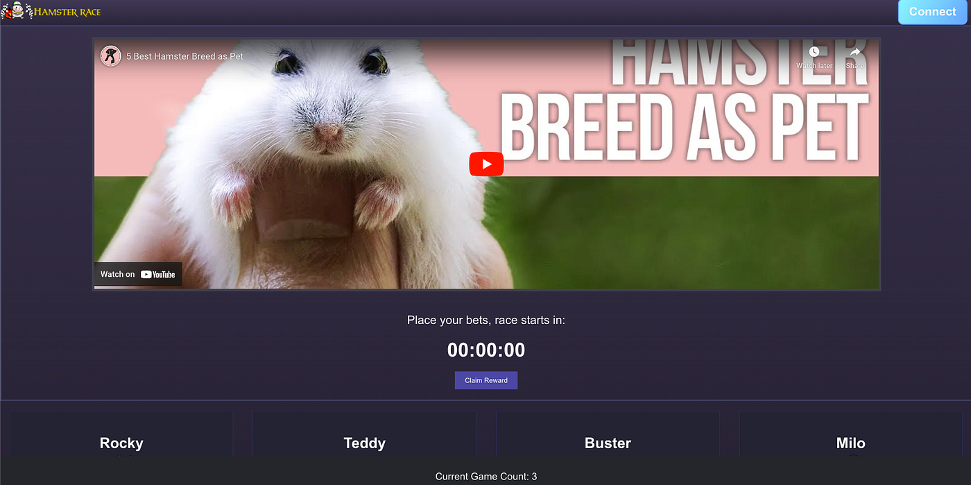 Hamster Race: A New and Exciting Way to Bet on Crypto | by BlueDuck AI |  Medium