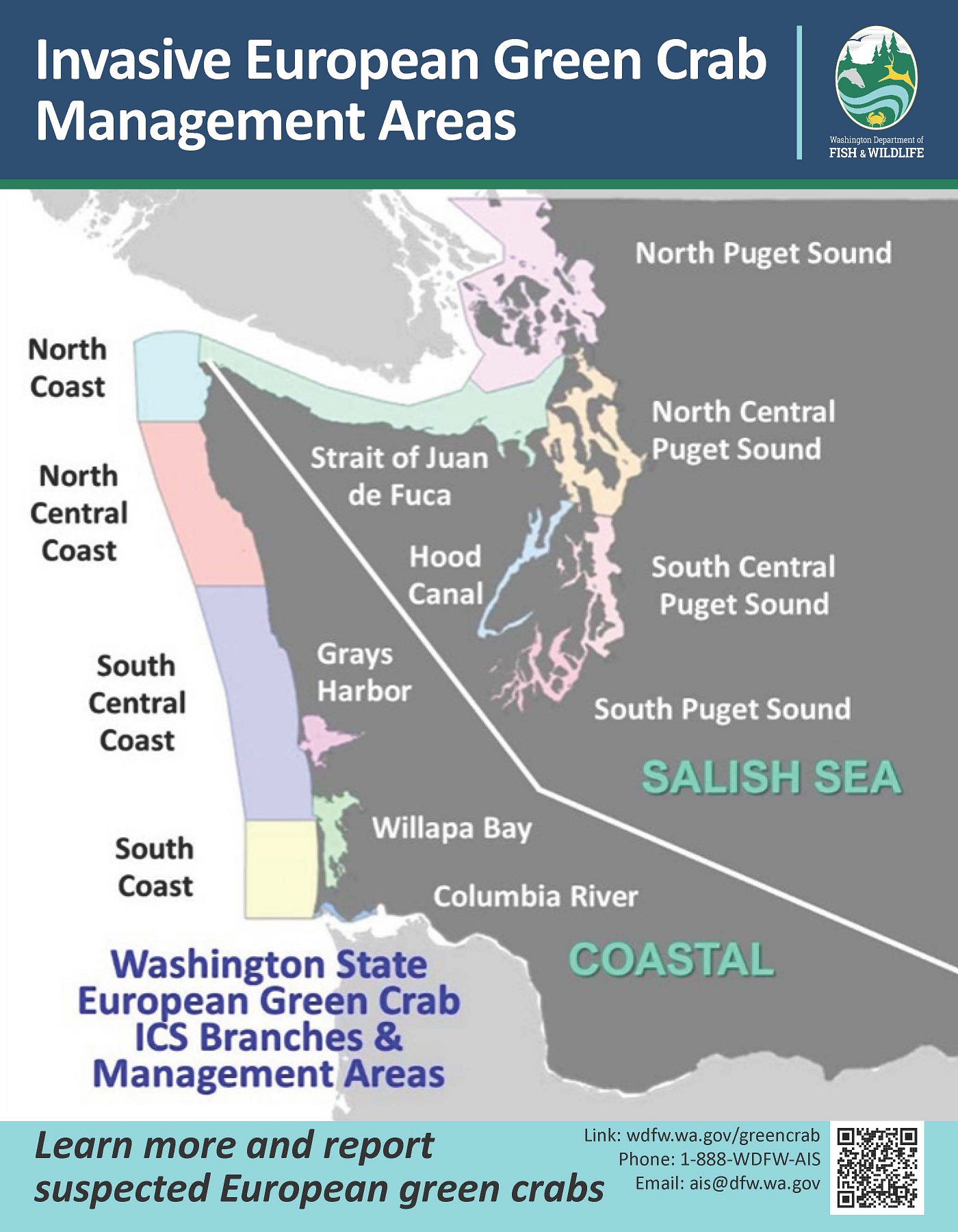 May/June European green crab updates, by The Washington Department of Fish  and Wildlife