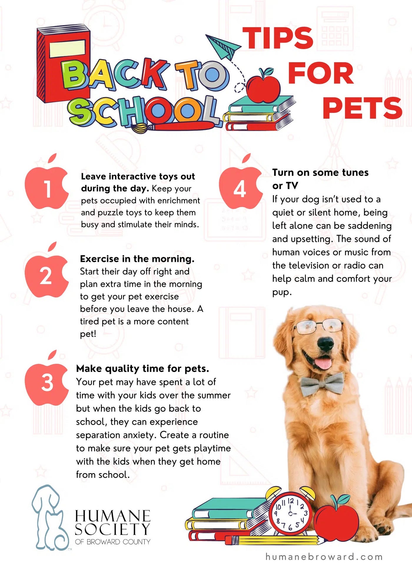 10 Ways to Keep Your Dog Busy During the Day