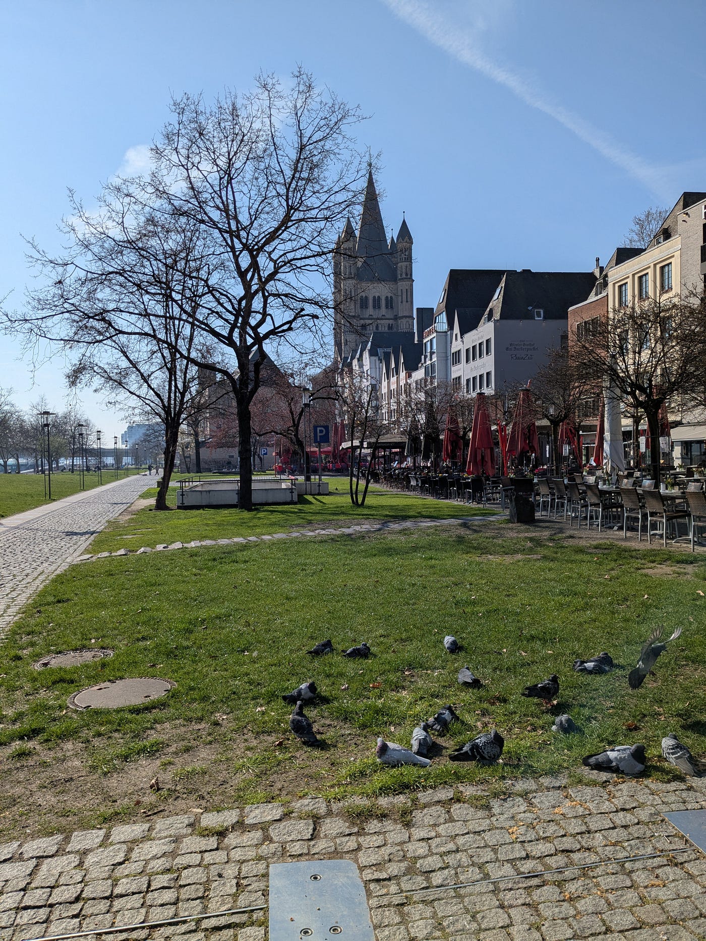 Exploring Cologne & Bonn