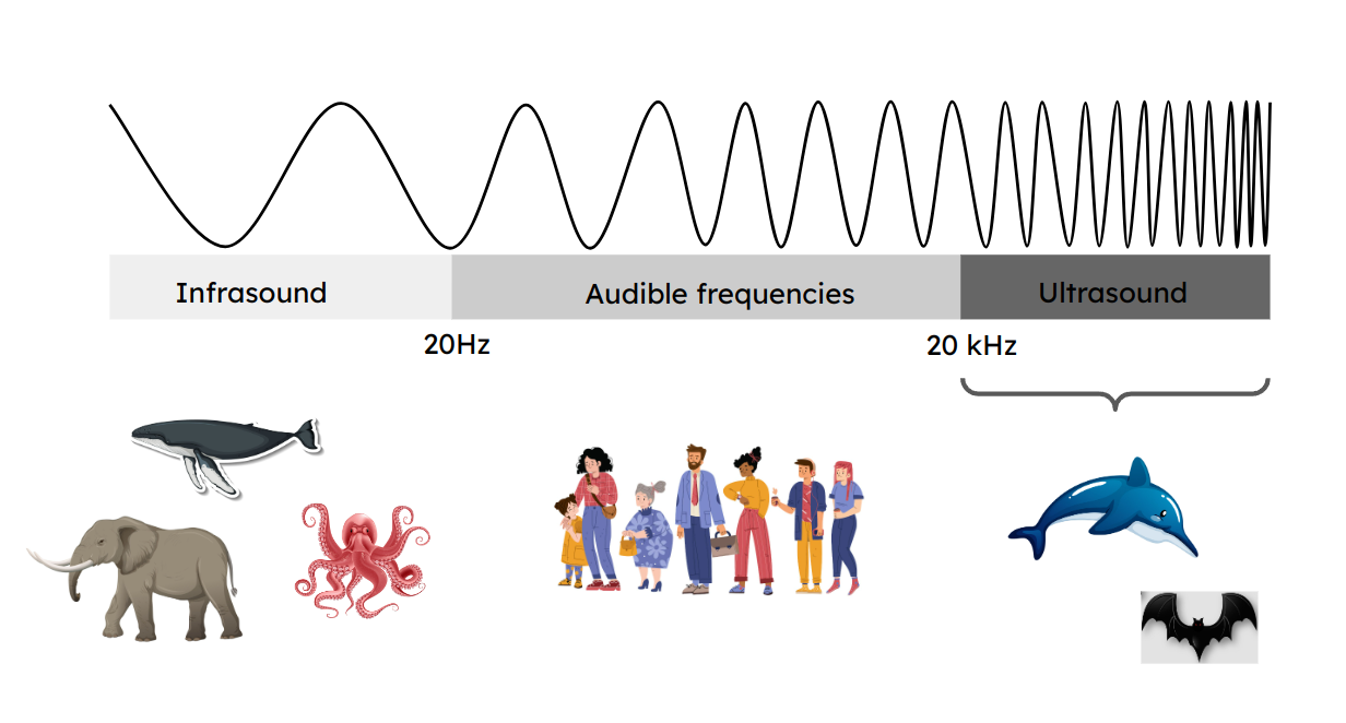 What is ultrasonic discount