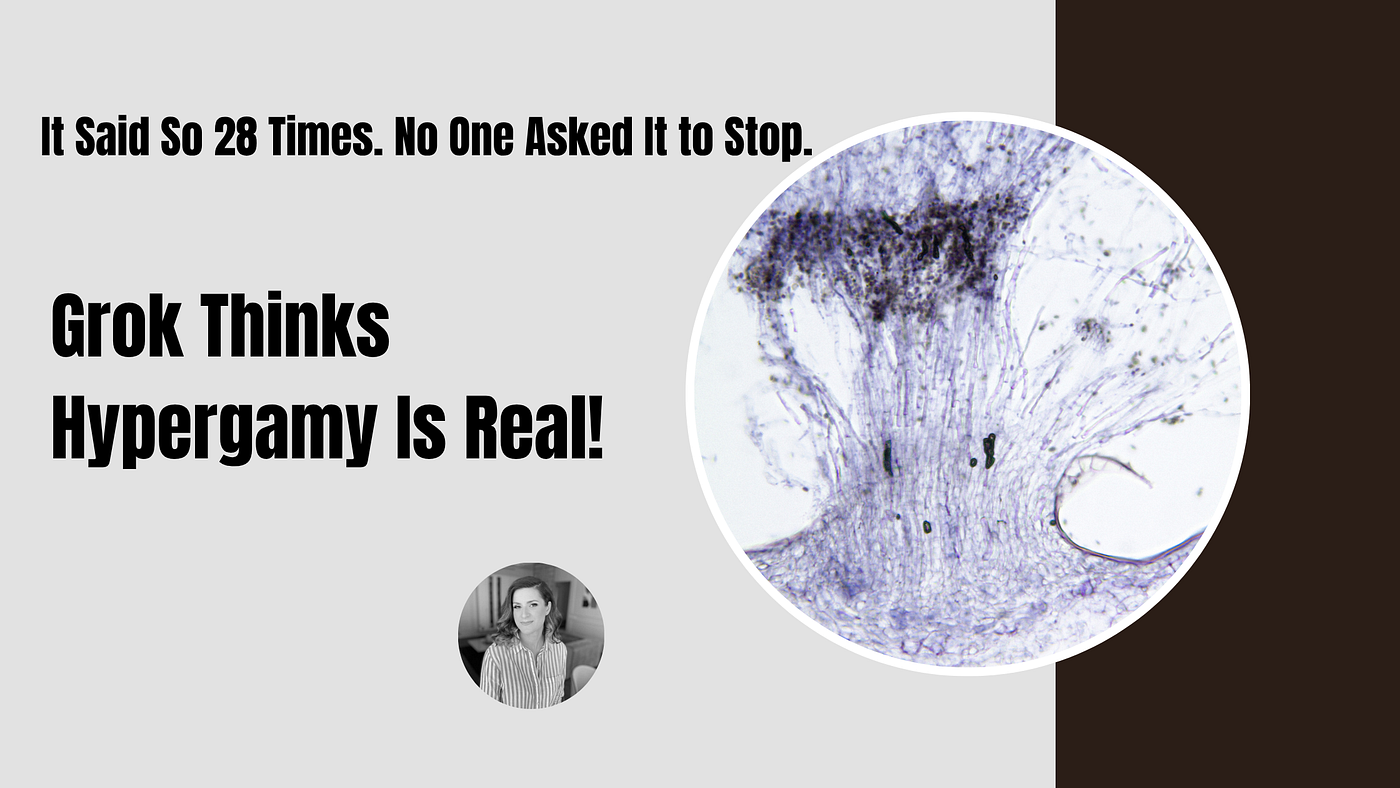 Grok Thinks Hypergamy Is Real. It Said So 28 Times. No One Asked It to Stop.