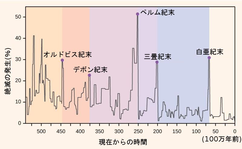 海産無脊椎動物多様性学: 100年の歴史とフロンティア | 京都大学