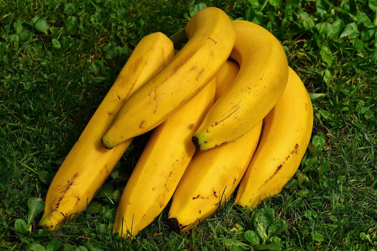 What is the best time to eat Banana? | by 𝐍 𝐀 𝐕 𝐄 𝐄 𝐍 - 𝐒 𝐇 𝐀 𝐑 𝐌 𝐀 🇮🇳 | Medium