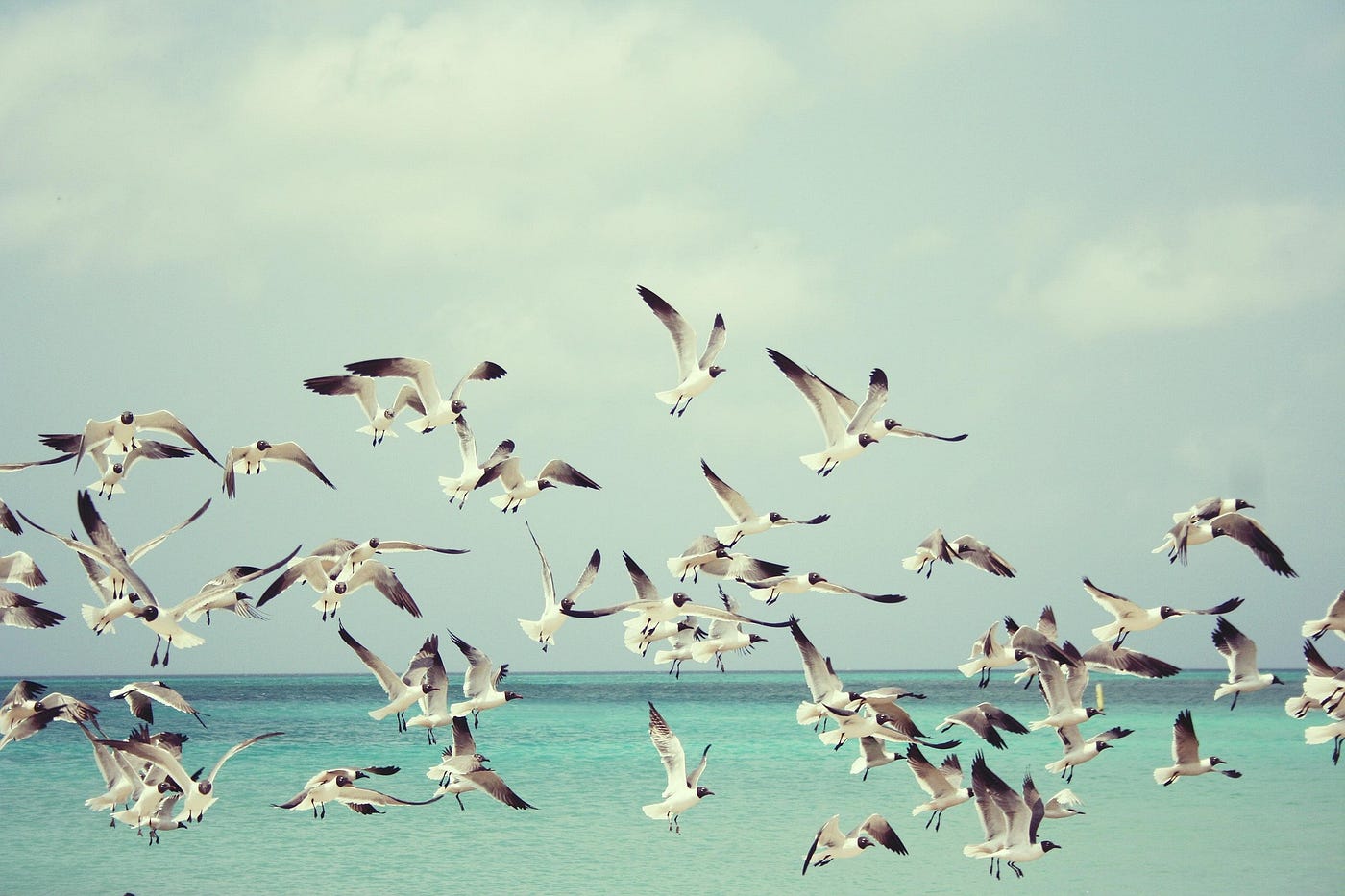 Image by bertvthul from Pixabay