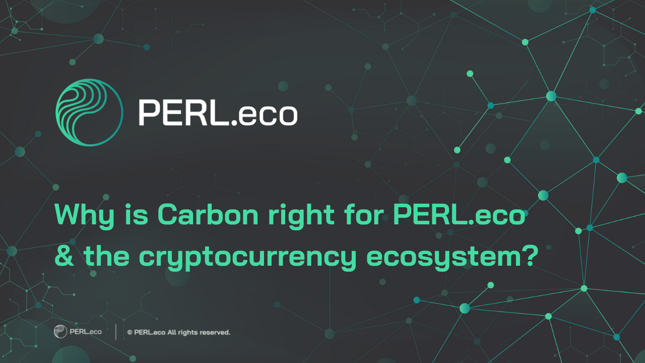 Why now is the time you need PERL.eco | by CY Tan | PERL.eco | Medium