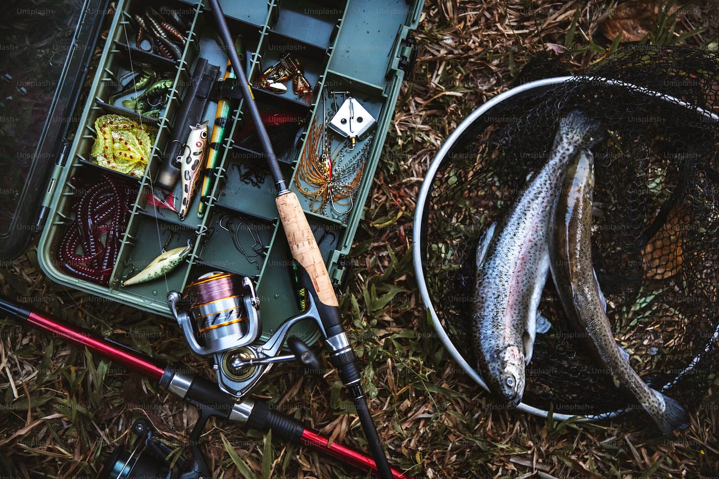 Improve Casting Distance with the Right Fishing Reel: Better  with Baitcaster Fishing Reels