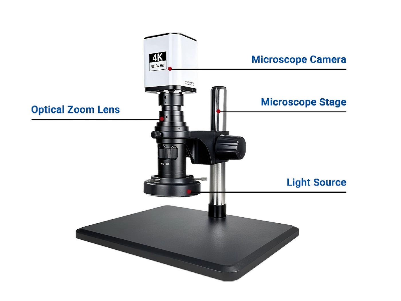 Digital Microscope Cameras Explained: How to Choose the Right System for Your Application