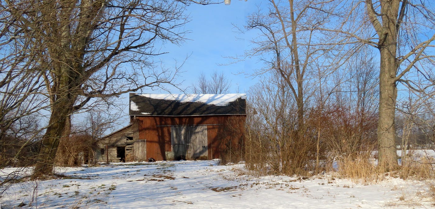 Photography by Dawn Ulmer, the author