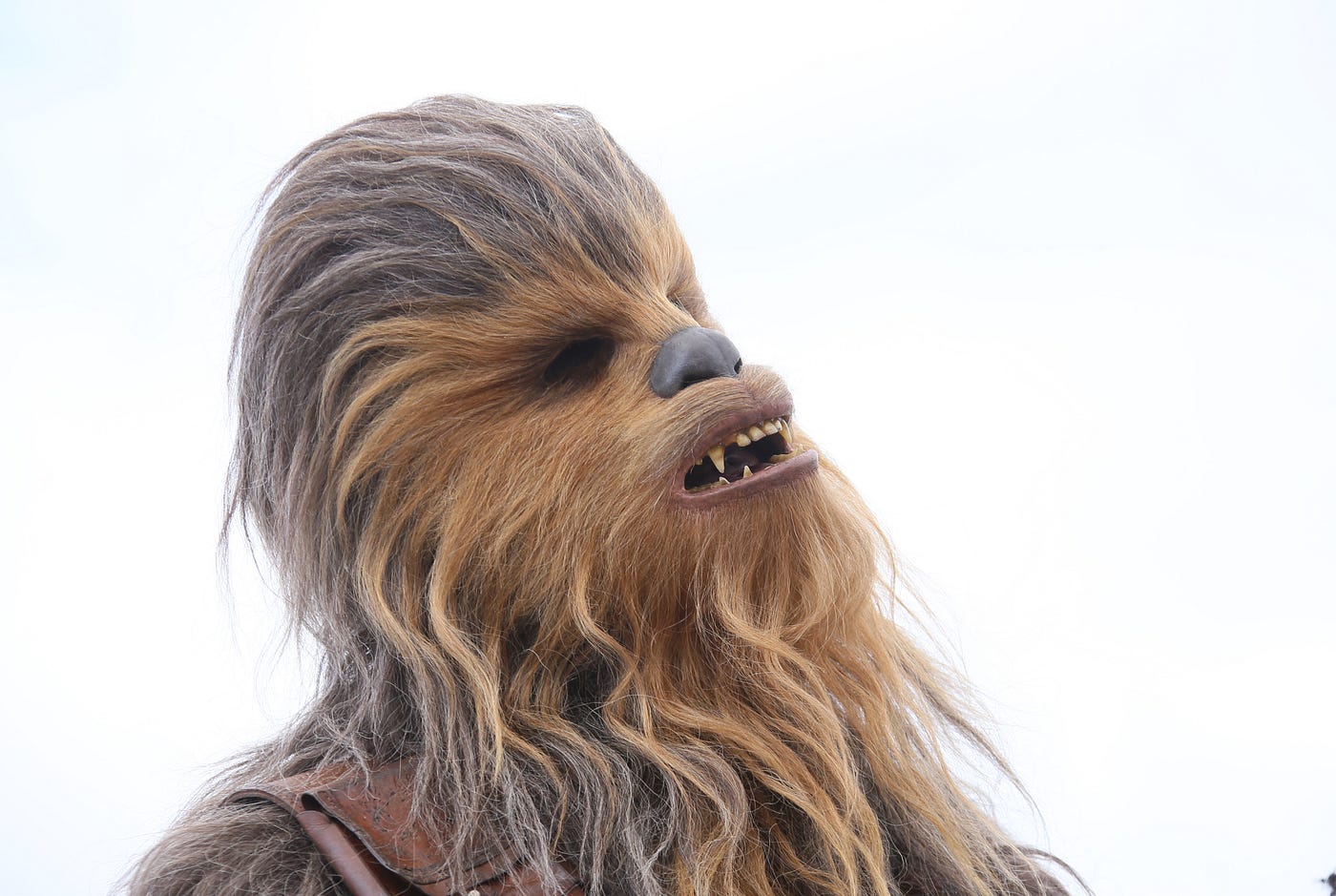“ CANNES, FRANCE — MAY 15, 2018: Chewbacca attends the photocall for ‘Solo: A Star Wars Story’ during the 71st annual Cannes Film Festival” | by Denis Makarenko | Shutterstock