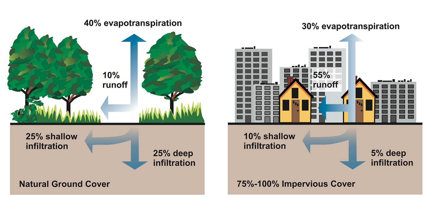 Environmental Problems with Parking Lots