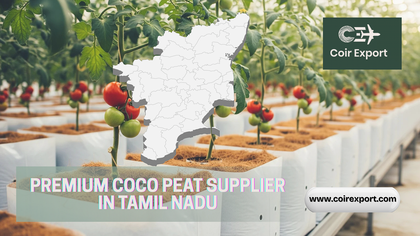 The Rising Demand for Premium Coco Peat in Tamil Nadu — A Global Buyer’s Perspective