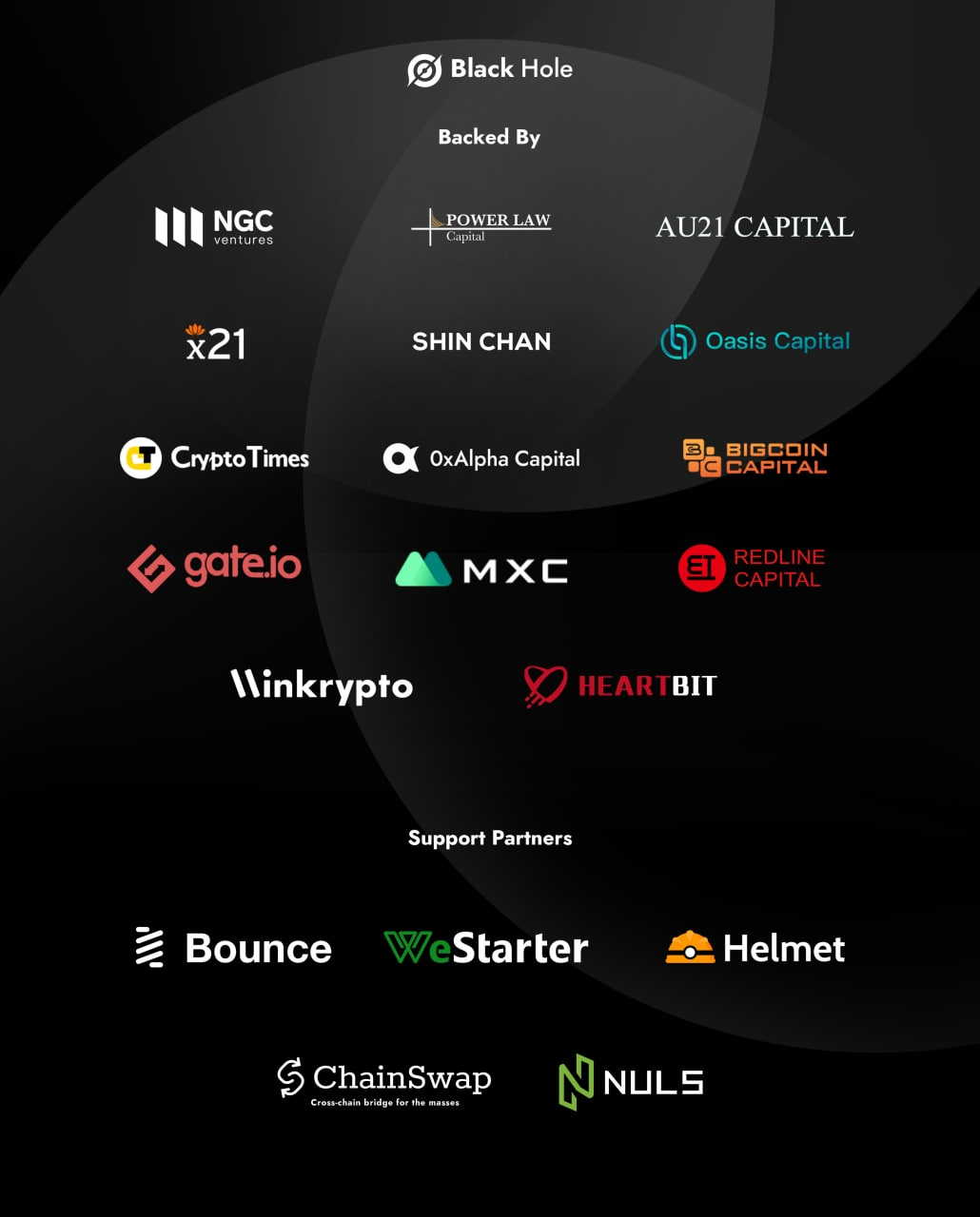 Black Hole Protocol AMA Summary Recap with Shin Chan Community | by  Shinchanieoalerts | Medium