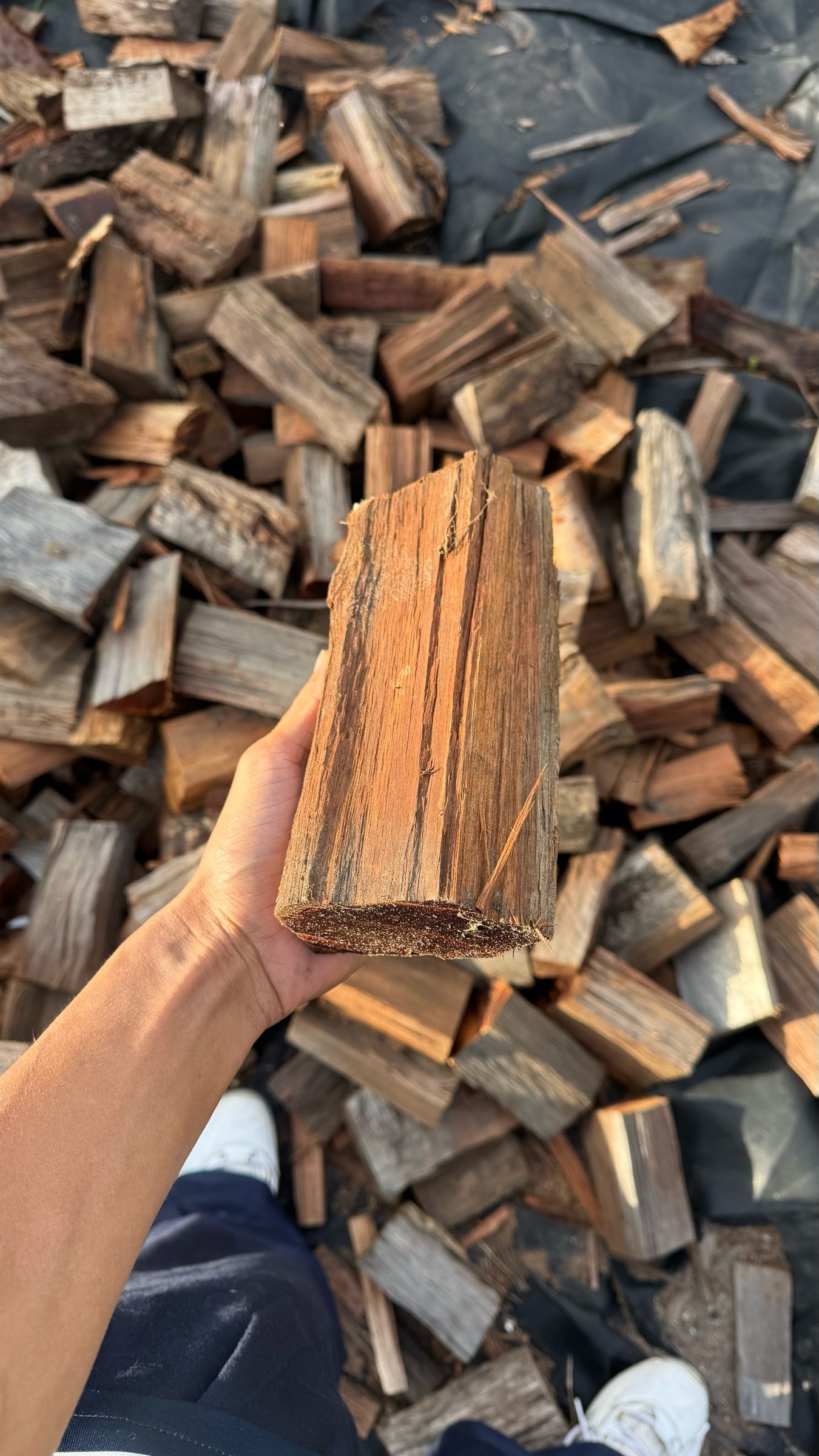 Why Dry Firewood Burns Better, And. How It Saves You Money This Winter