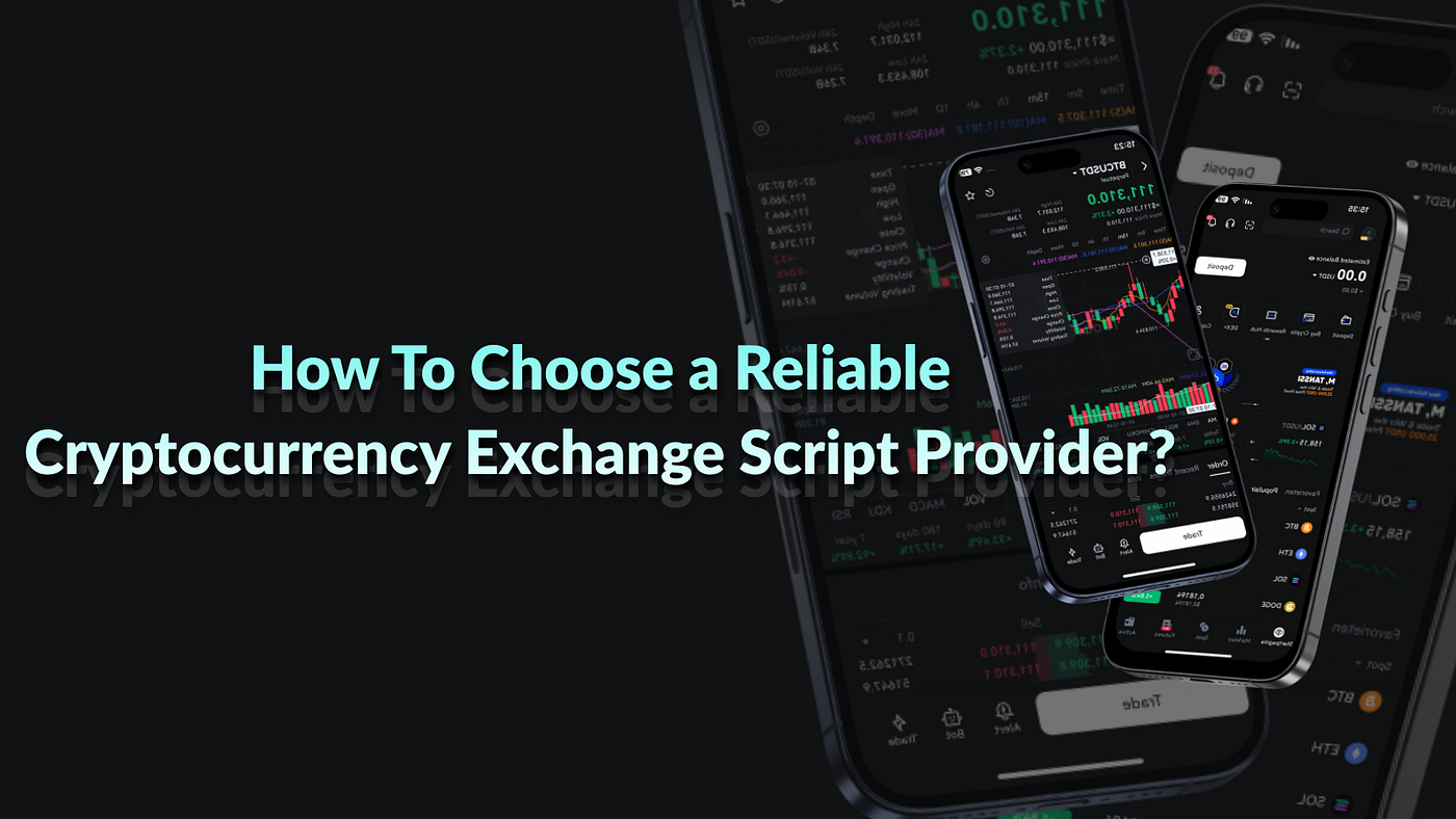 How To Choose a Reliable Cryptocurrency Exchange Script Provider?