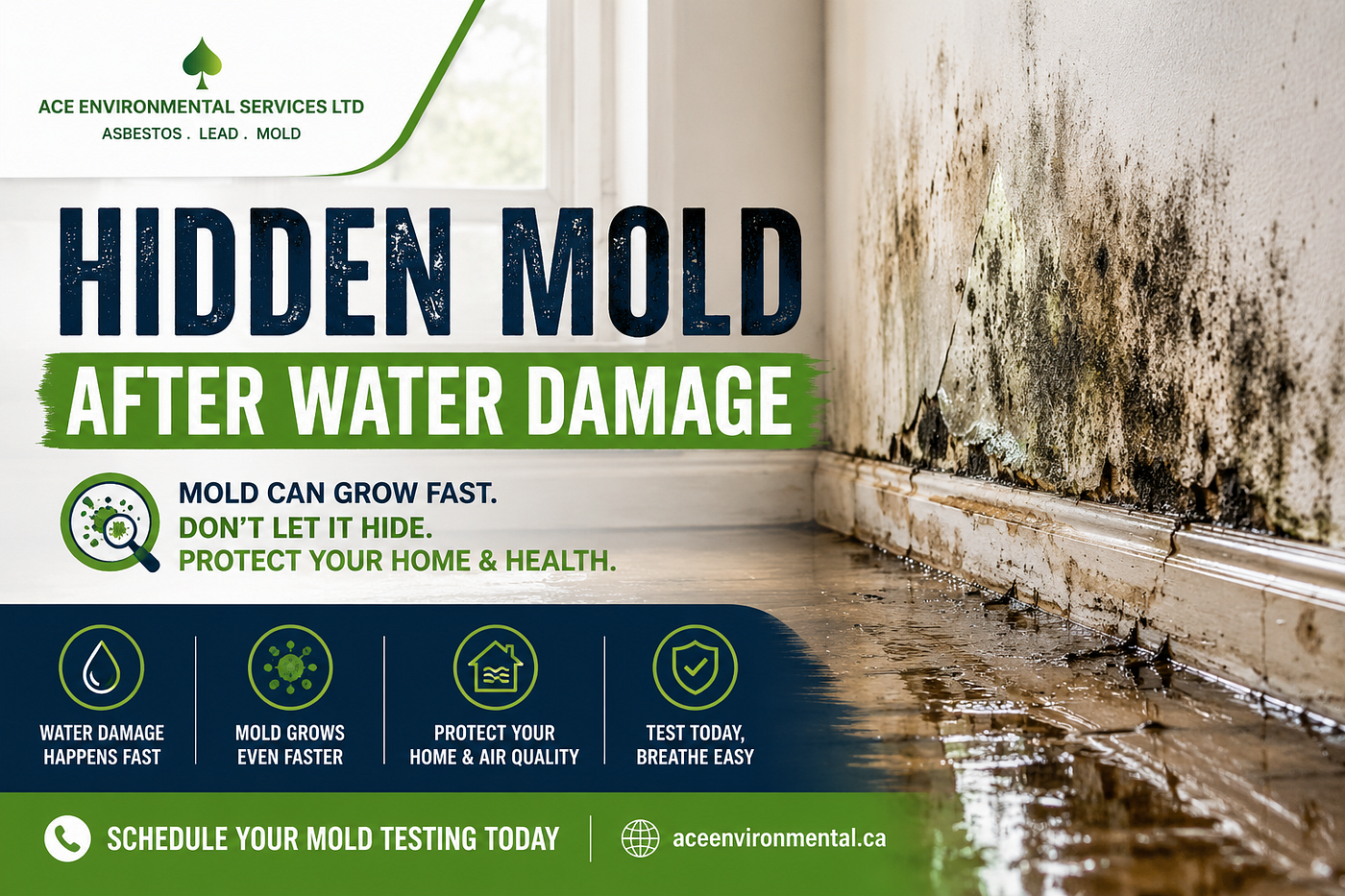 Top Reasons to Schedule Mold Testing After Water Damage
