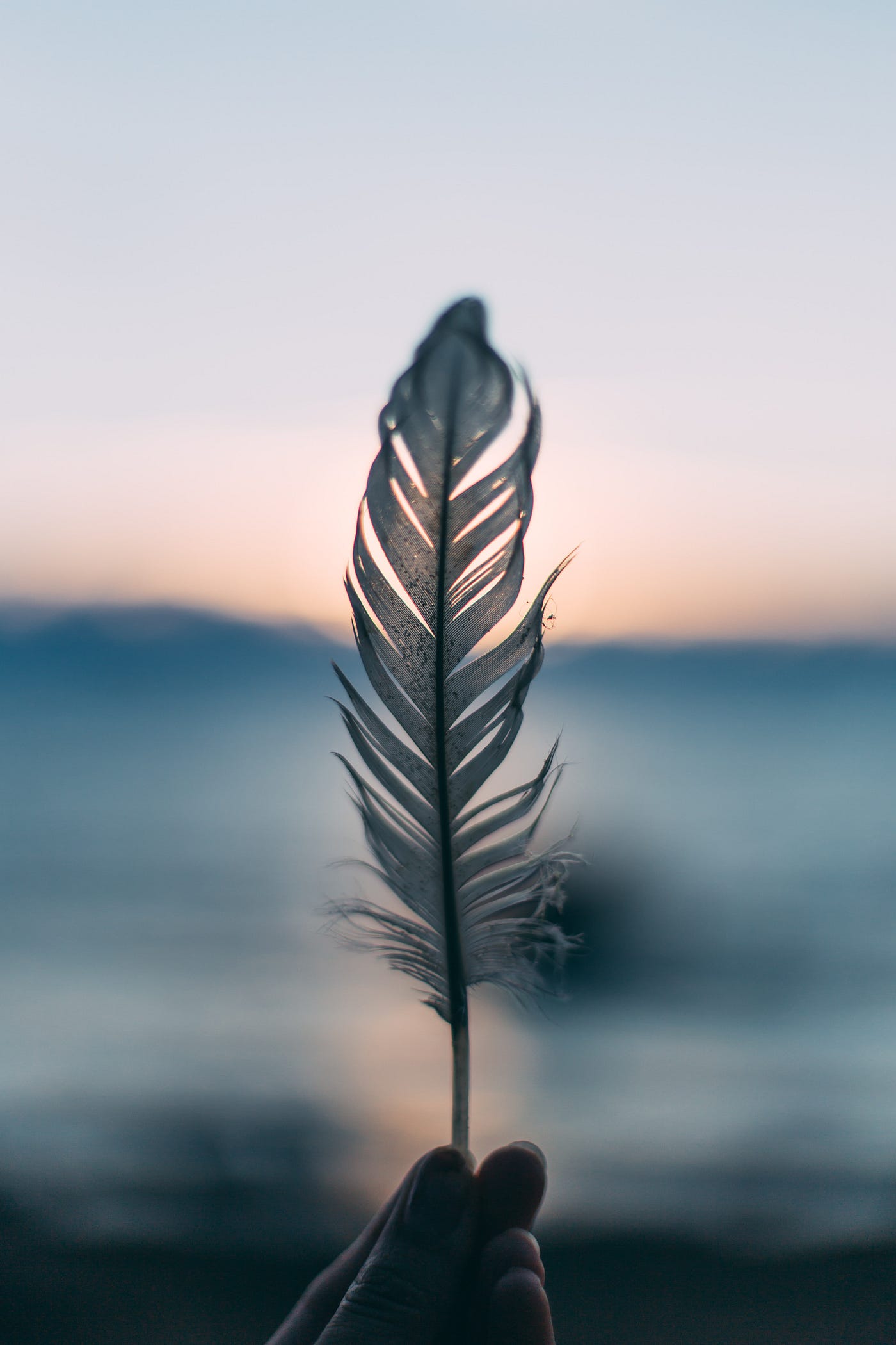 A feather against a blurred backdrop of the ocean.