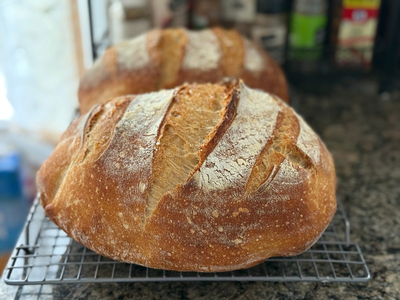 7 years of Sourdough: Updating the Santa Cruz Mountains Sourdough