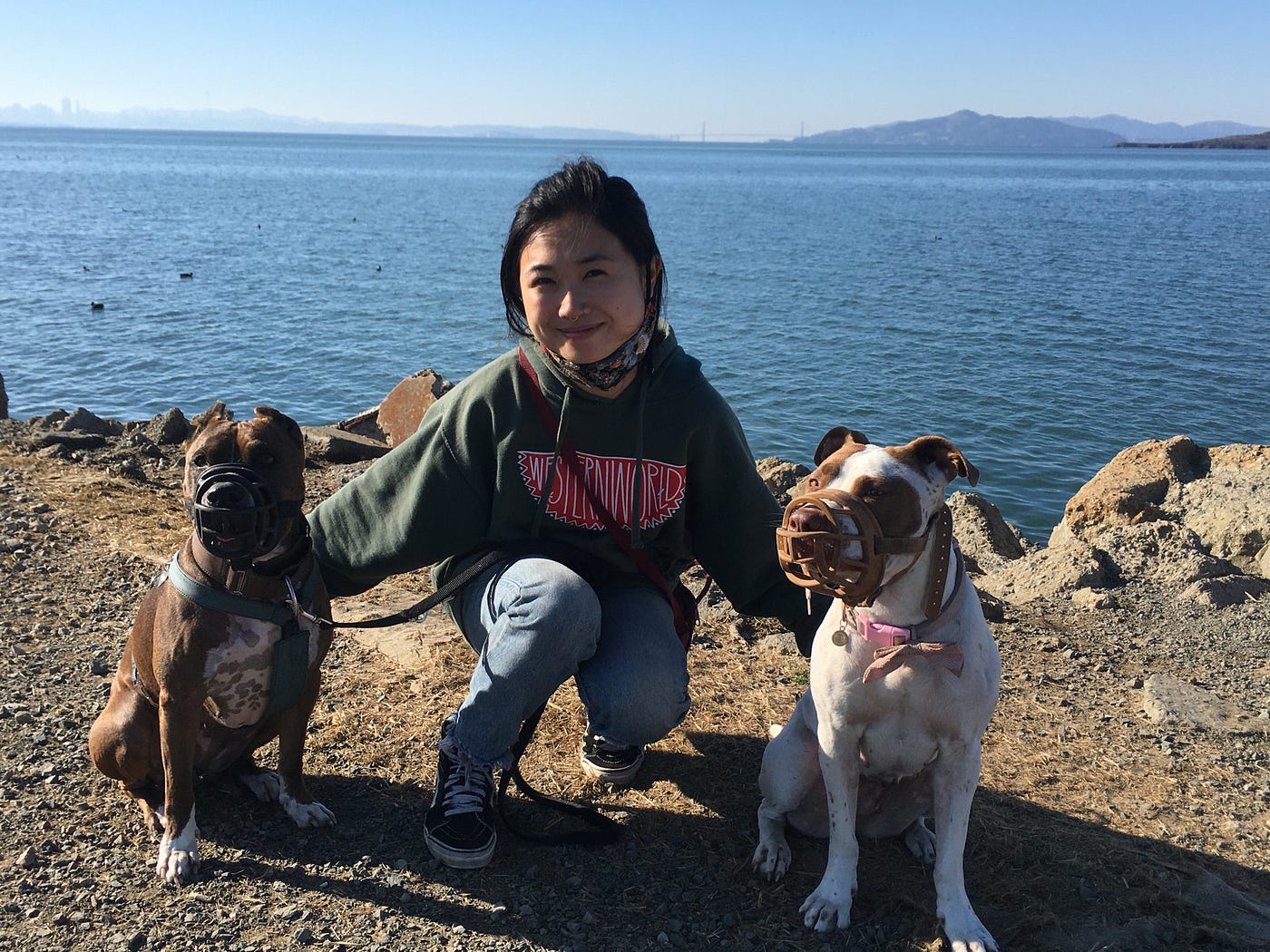 A person kneeling between two pitbulls with the Bay in the background, on a rocky shore that looks like it might be near the Berkeley Marina.