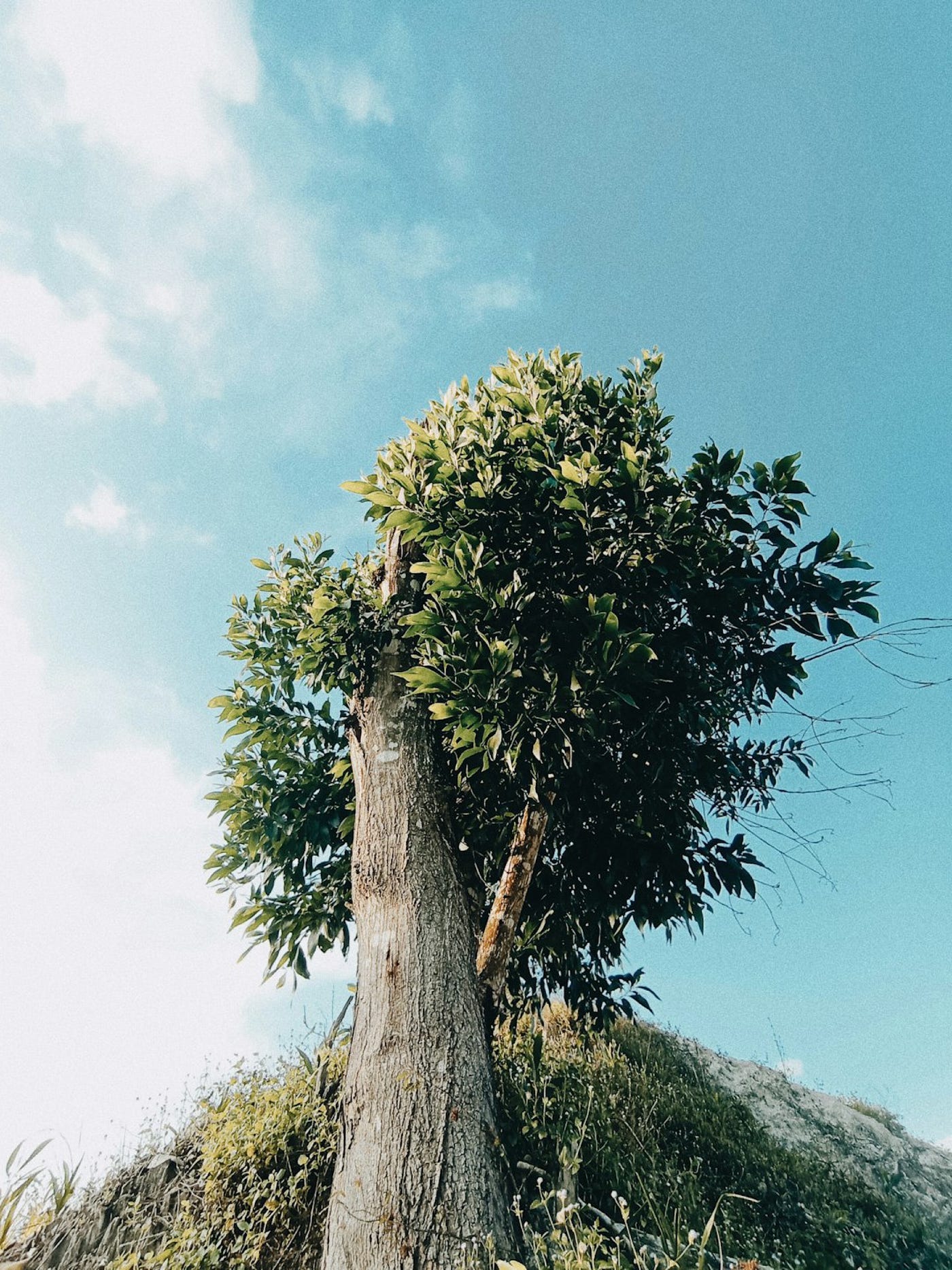 Photo by Ibnu Hibban on Unsplash