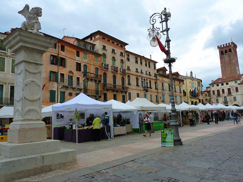 Derattizzazioni Bassano del Grappa: Disinfestazione Topi Bassano del Grappa