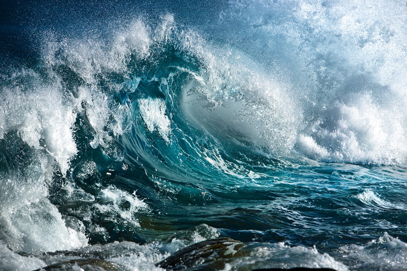 Navigating the Swells: The Ongoing Impact of the Information Wave