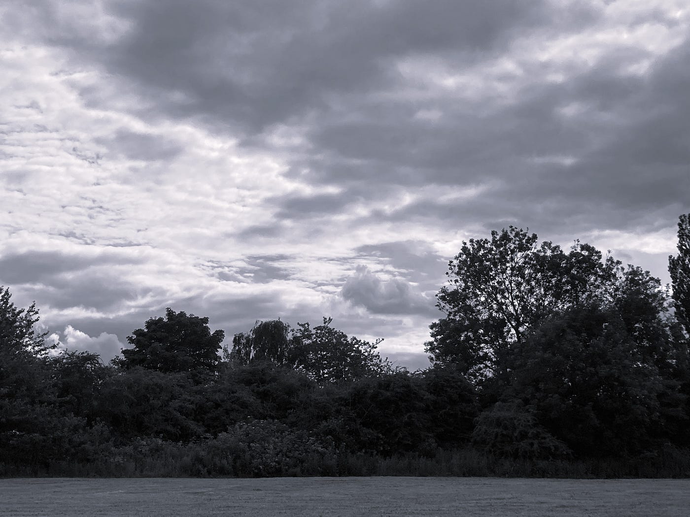 Photo: Penny Grubb