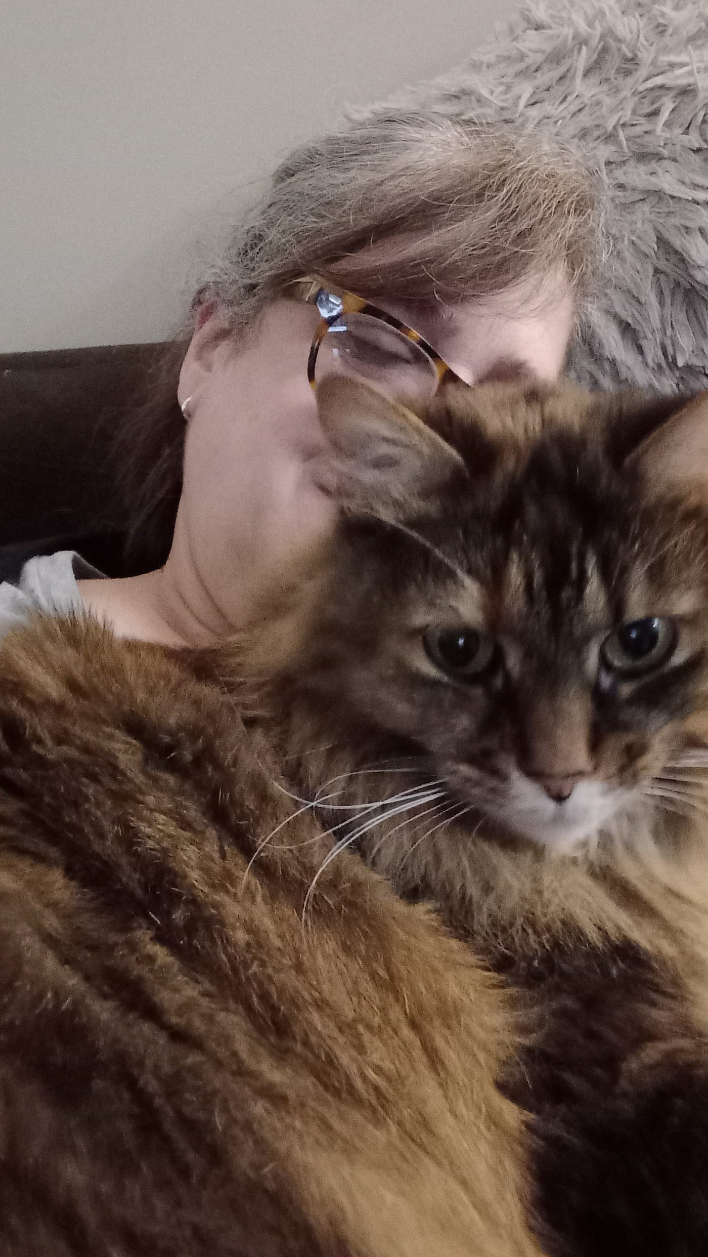 Cats: Creatures of Habit or Convenience?