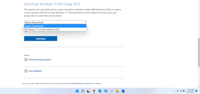 Windows 11 Disk Image (ISO) (Windows) - Download