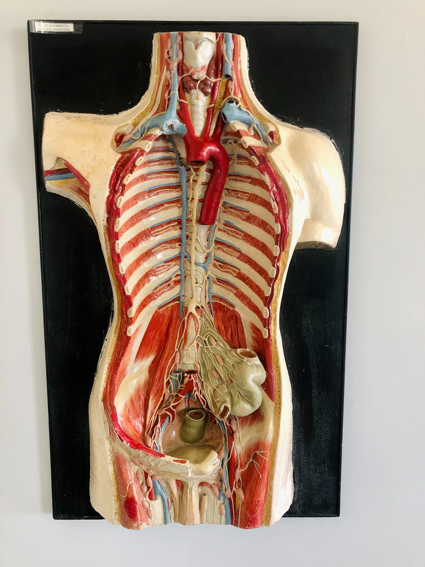 What are the early symptoms of Nerve damage caused by Diabetes?