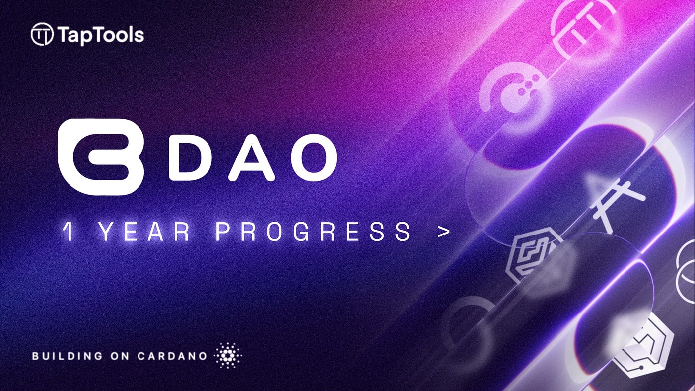 CB DAO 1 Year Progress