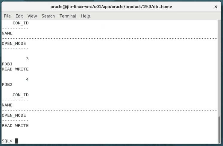 Oracle Database 19c Installation on Linux | by Jared Bach | Geek