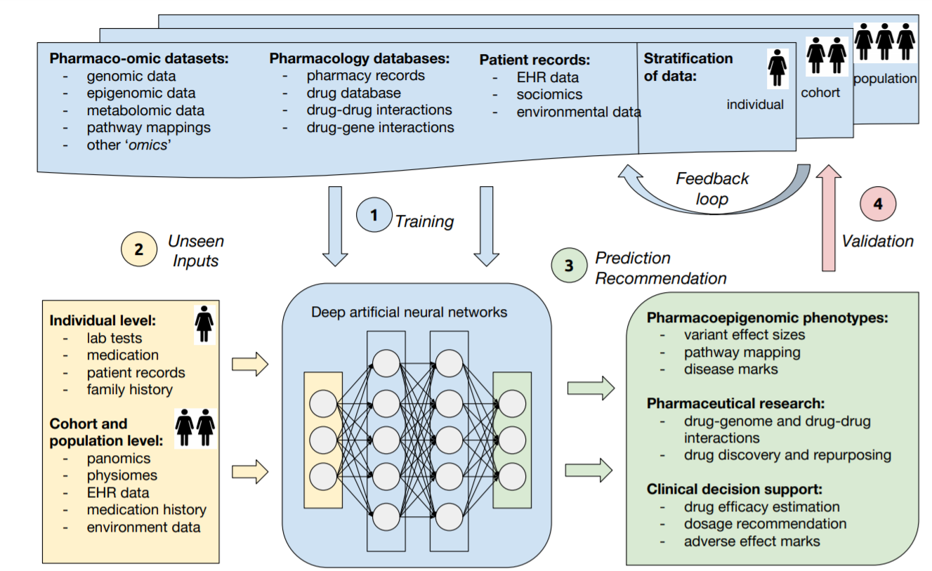 Neural networks applications. Drug discovery neural networks. stages of drug discovery process. компания repurposing drugs in oncology. individual level data.
