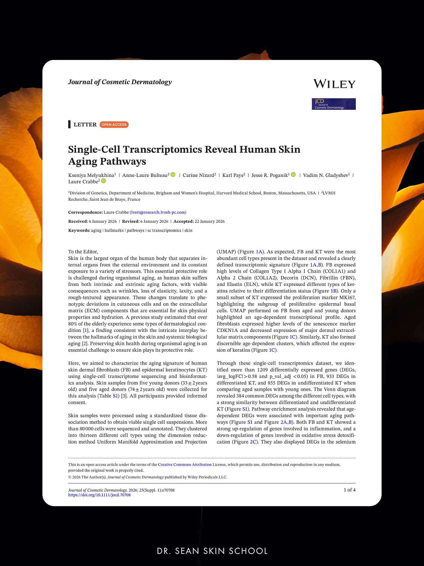 งานวิจัย Single-cell Transcriptomics เพื่อค้นพบ Pathways ความชราของเซลล์ผิวหนัง