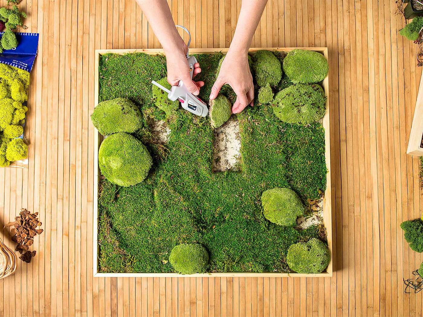 Moss Frame: 5 Reasons Why You Should Opt for Moss