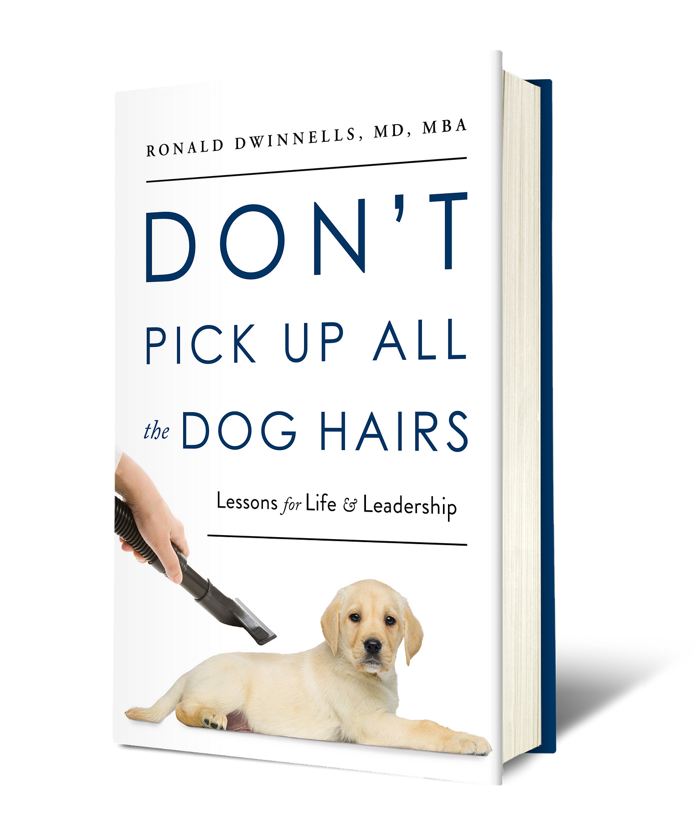 Don't Pick Up All the Dog Hairs: Lessons for Life & Leadership | by  Greenleaf Book Group | Medium