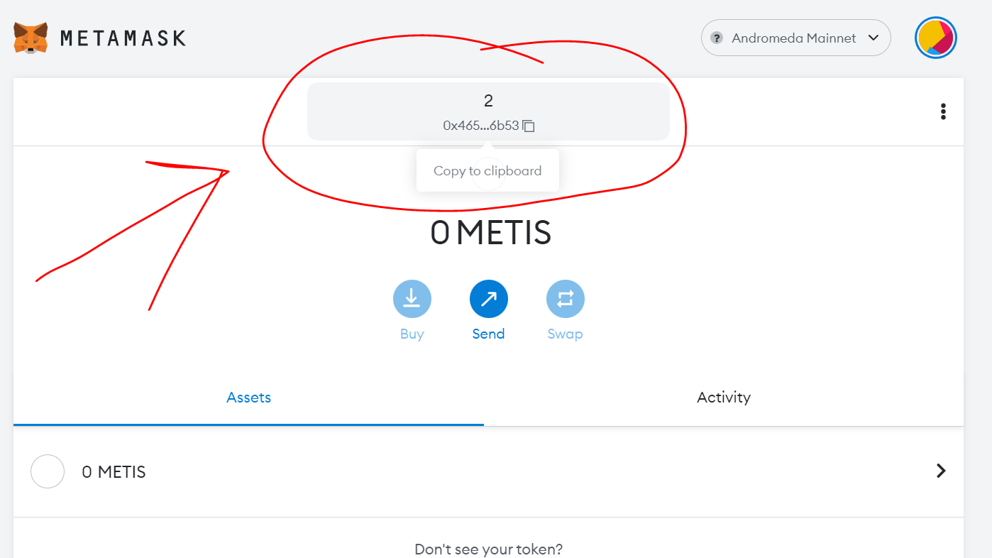 How To Use Metis Bridge: A Step-by-Step Guide