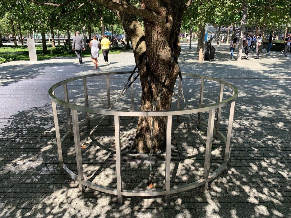 9/11 Memorial: Survivor Tree. Countless memorials throughout New York…, by  Frederick Hissenkaemper, Dust Settled