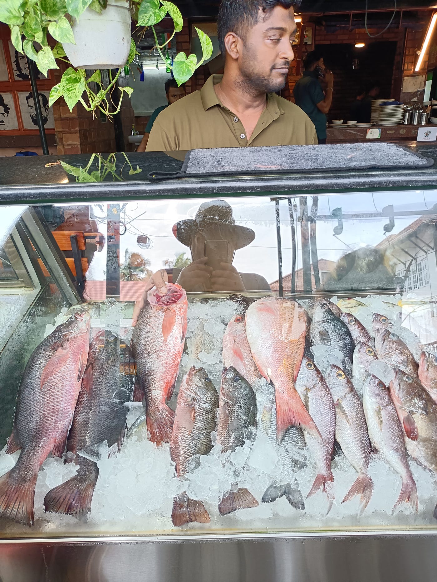The Living History of Cochin's Chinese Fishing Nets | by Mike Savage |  Medium