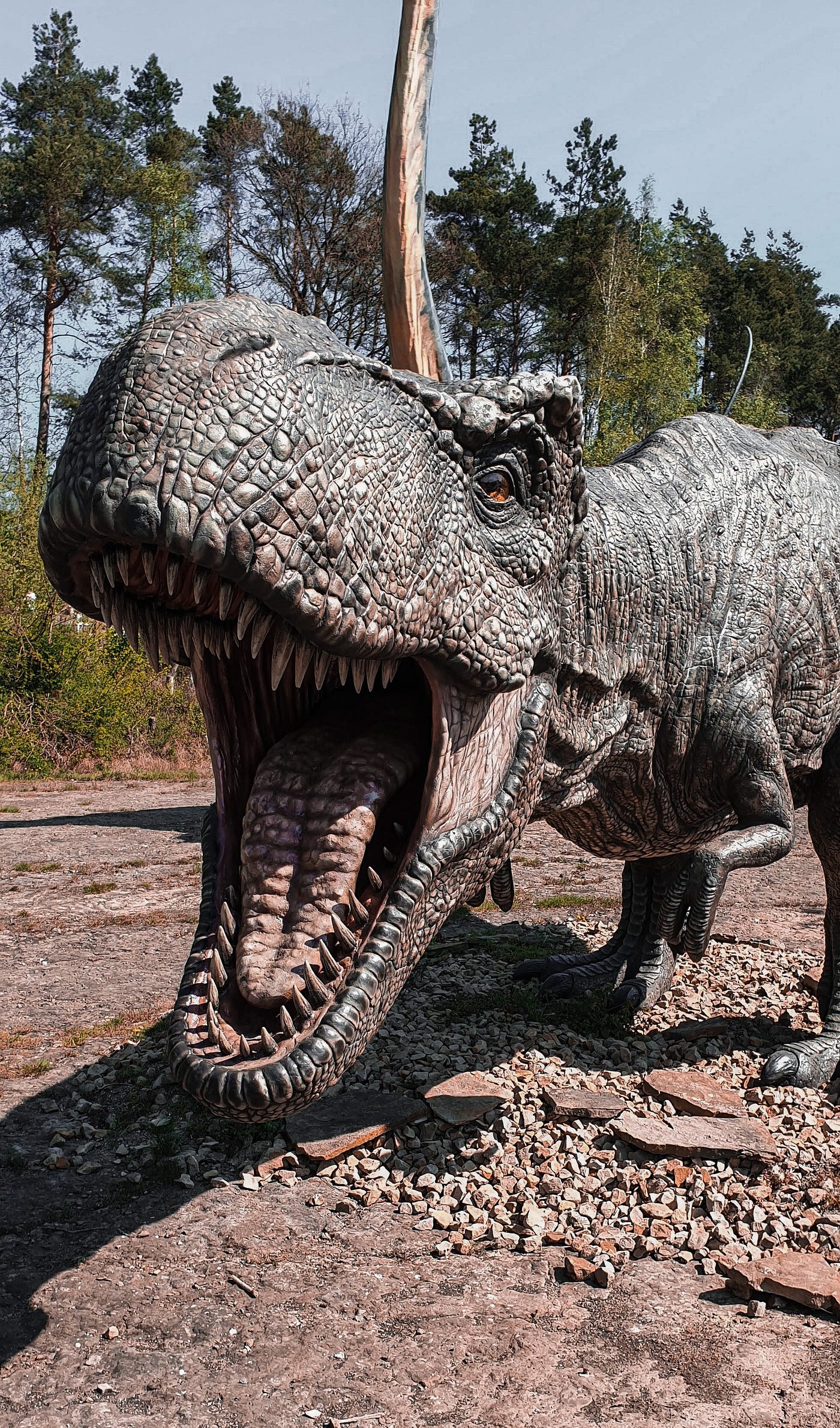 A Real Jurassic Park. 70-million-year-old Perfectly Preserved… | by Arlo  Hennings | Medium