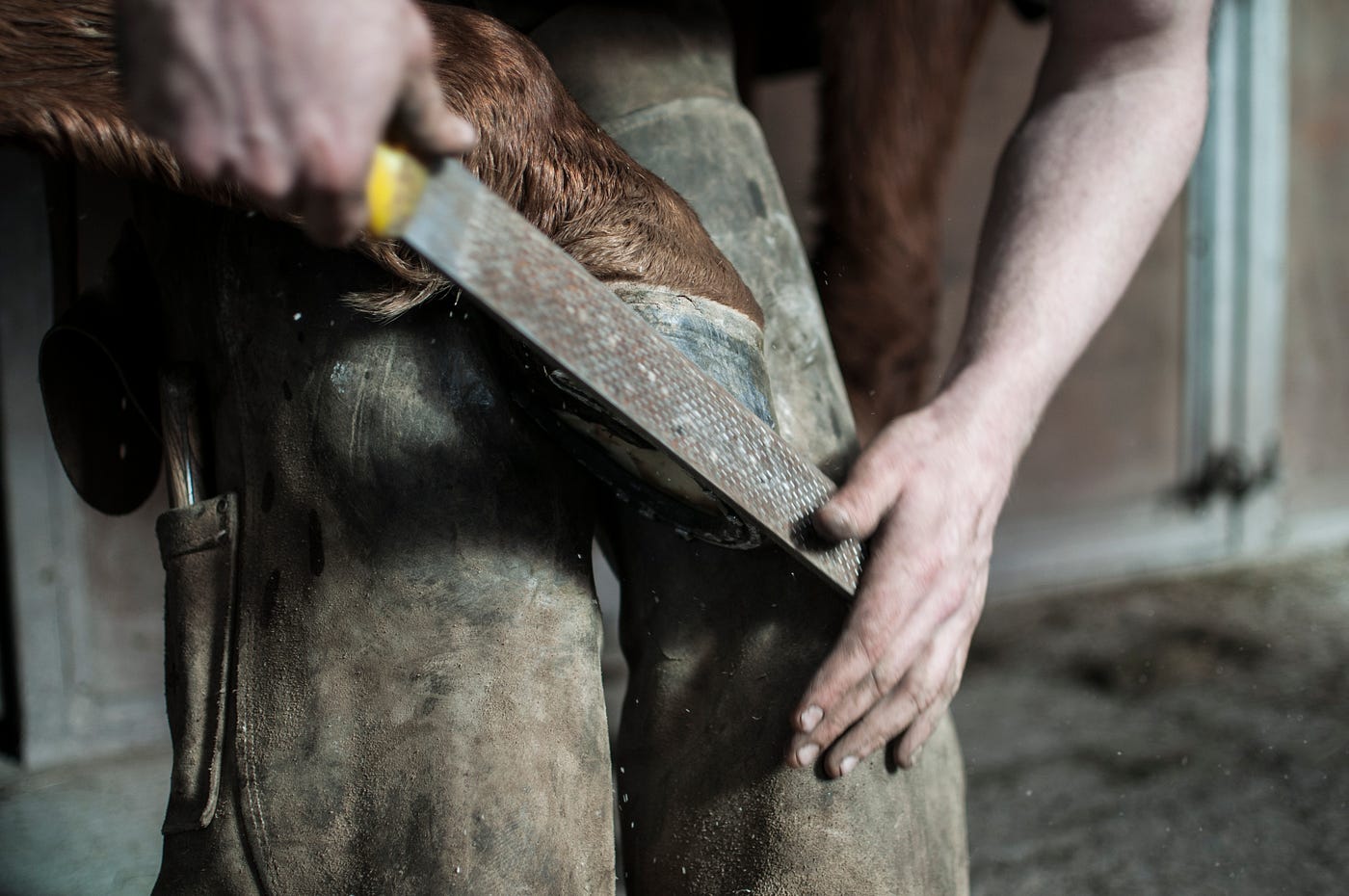 activité forge : une des nombreuses activités des élèves de maréchalerie: parage d’un pied de cheval