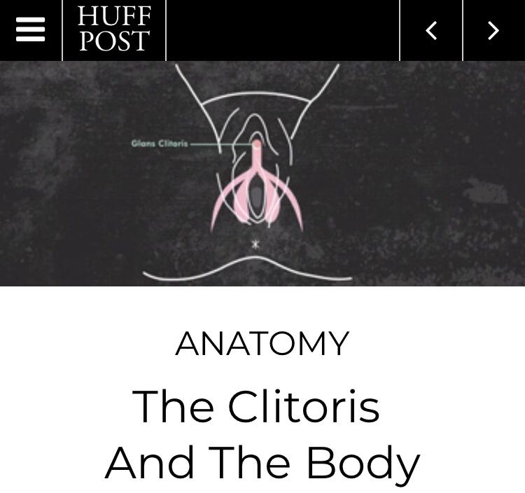 clitorisclitoris The Internal Clitoris Was Not “Discovered” In 1998. | by Jessica Pin |  Medium