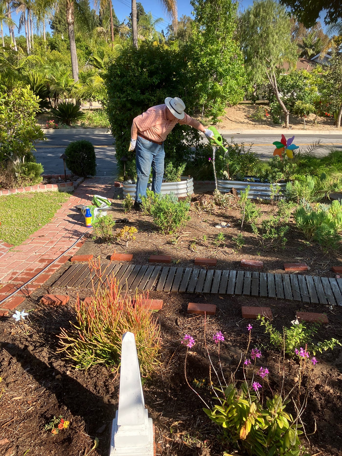 My photo of hubs working in the front yard