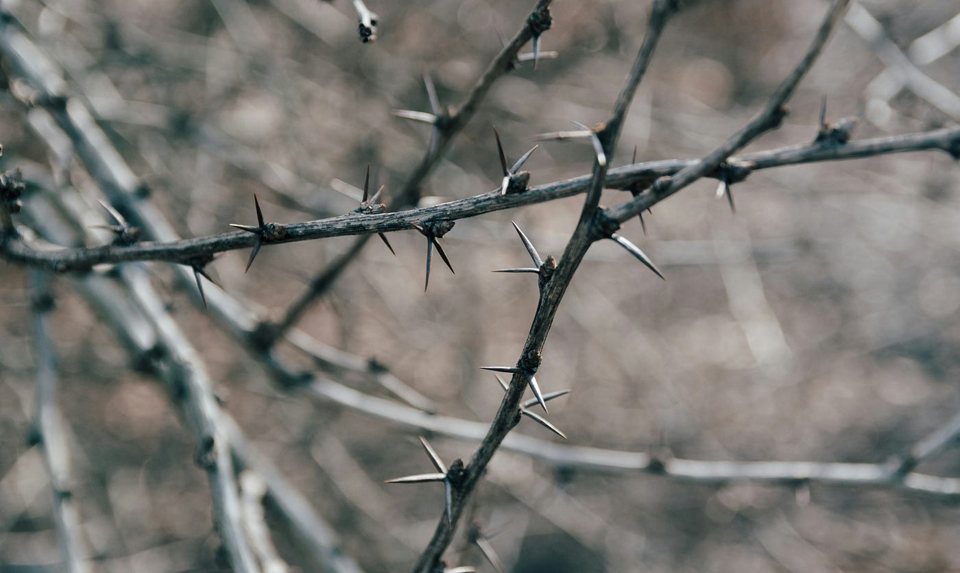 A Thorn With No Name