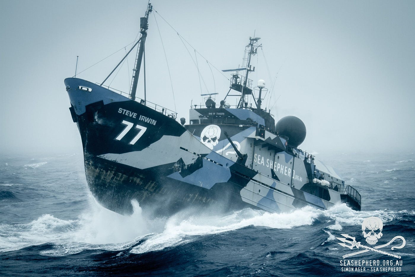 Protectors of the Oceans: Sea Shepherd and his battle for conservation, by  voces naturae