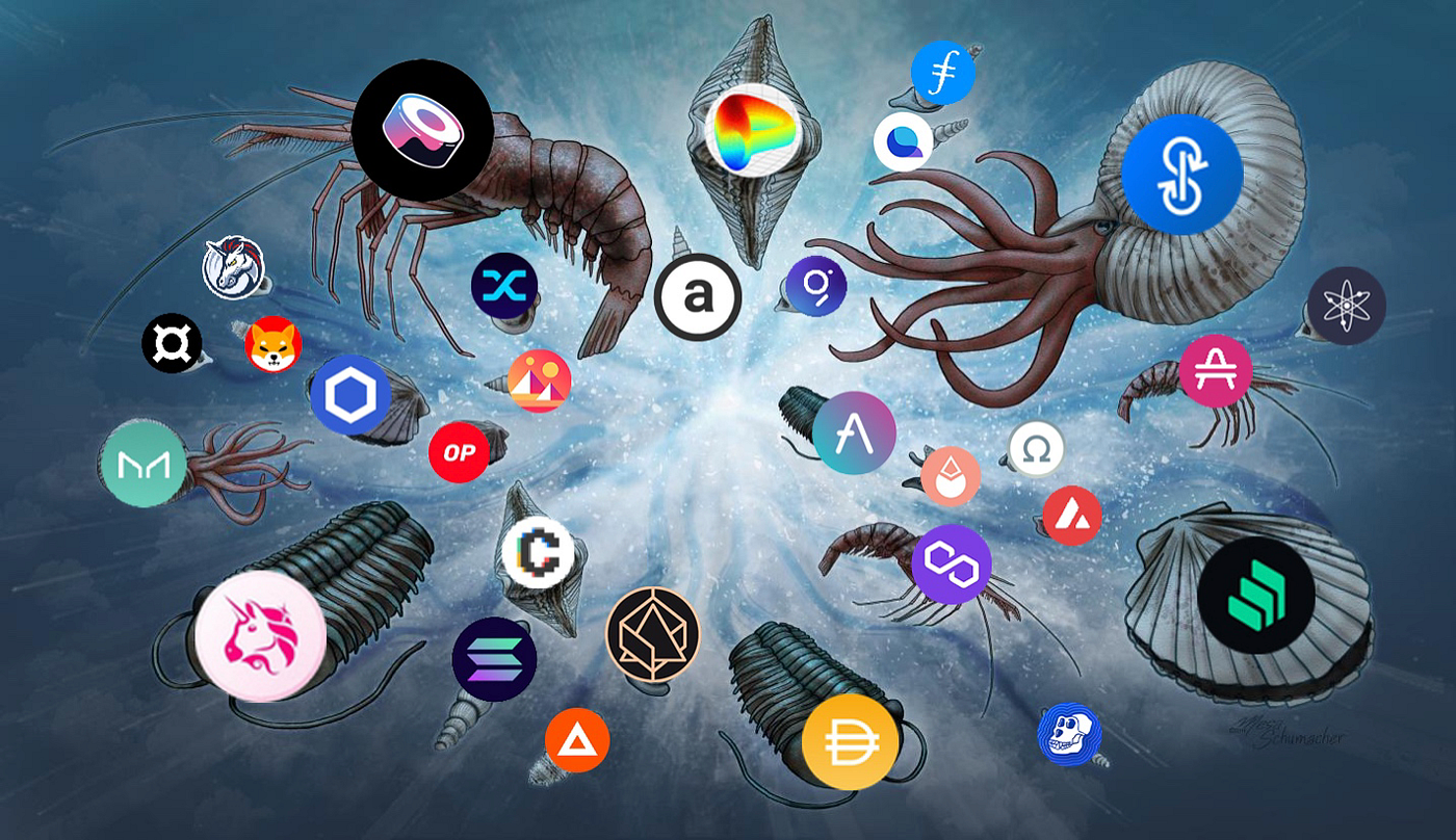Introducing the Acronym Foundation | by Acronym | Medium