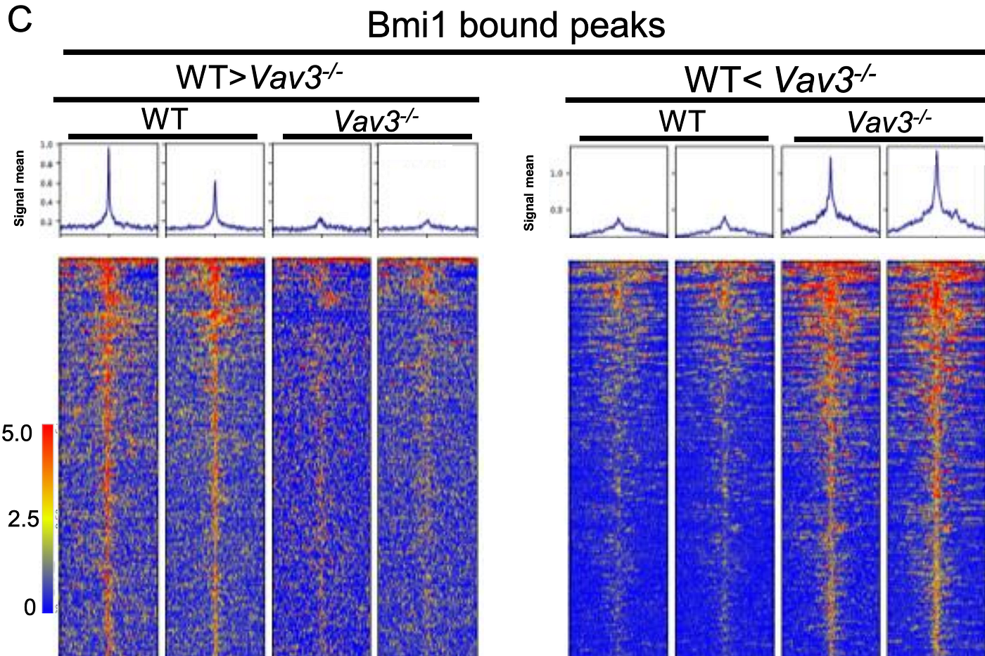 Heatmaps and average tag density profiles