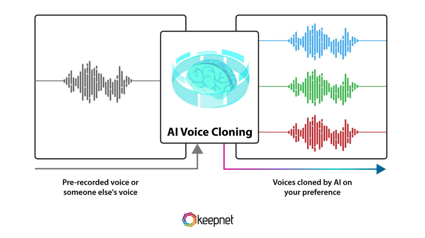 Fake67: Explainable Deepfake Audio Detection via Spectrograms Using EfficientNet and Grad-CAM