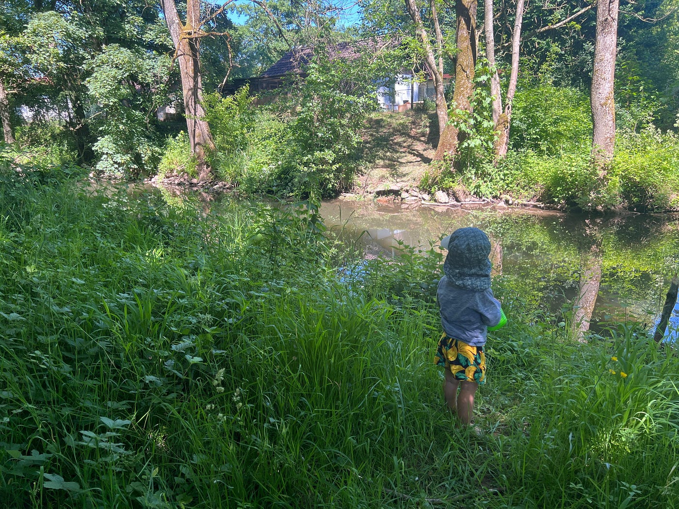 A Sense of Peace